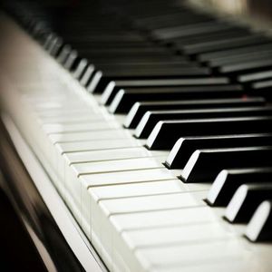 完美胸型美女姐姐在线观看视频
