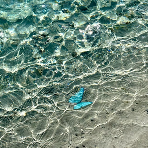 完美胸型美女姐姐在线观看视频
